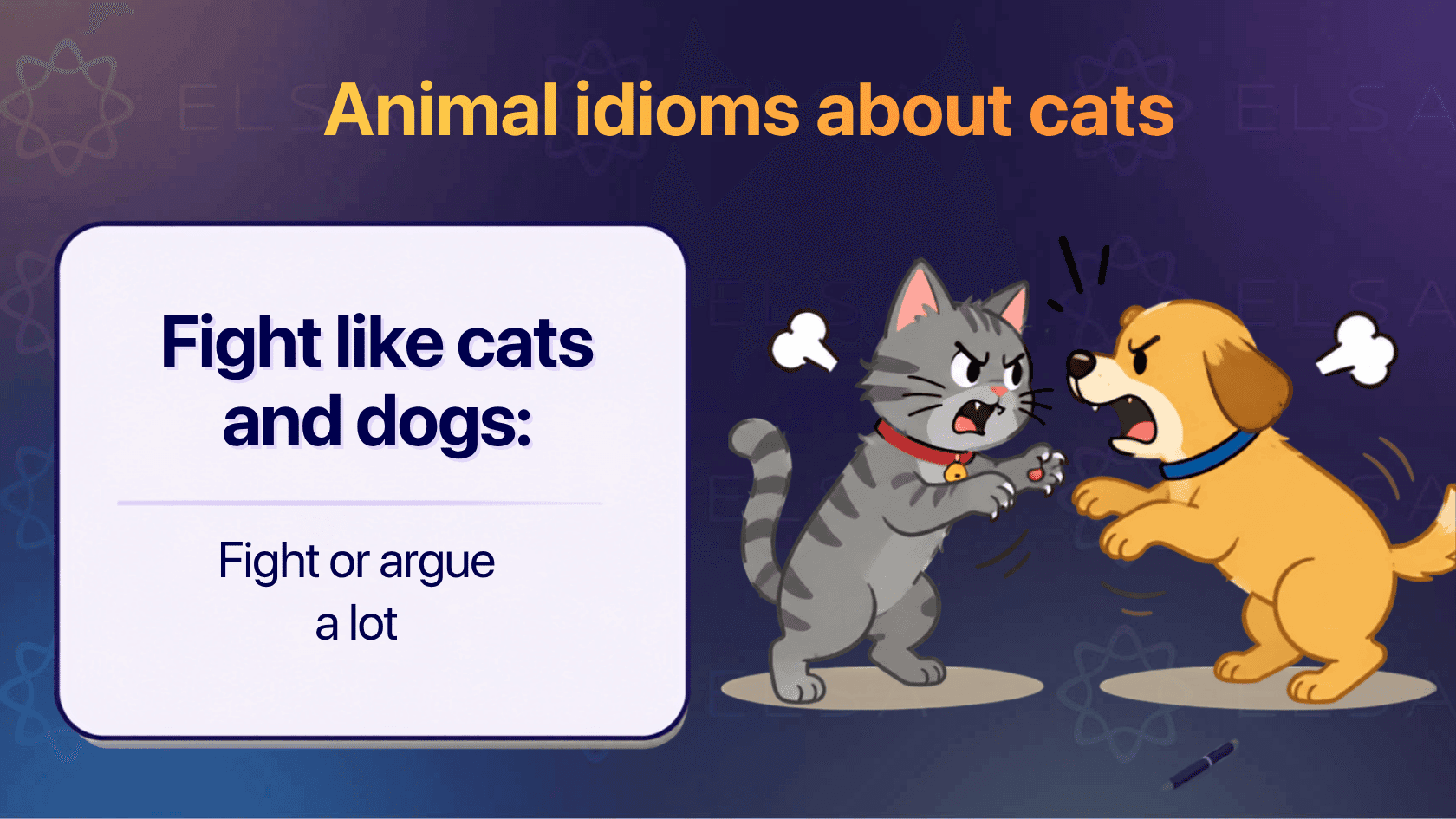Animal idioms in English about cats
