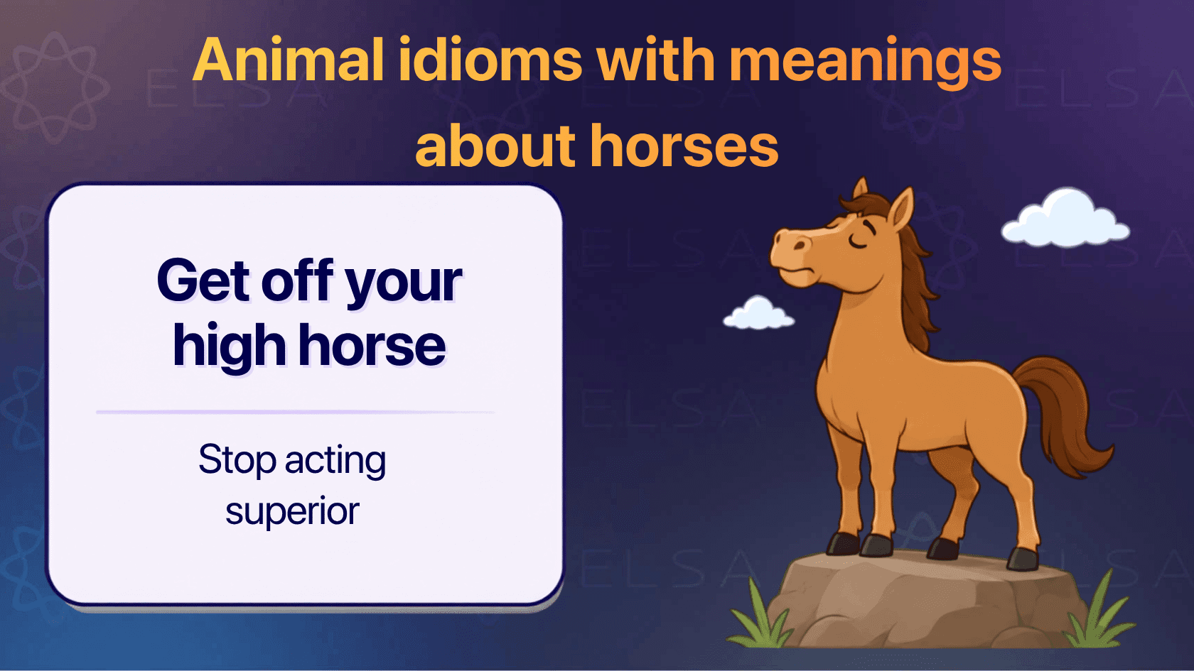 English animal idioms about horses