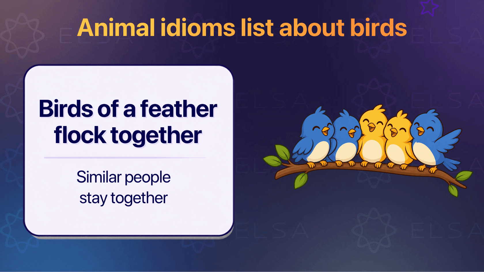 Animal idioms list about birds