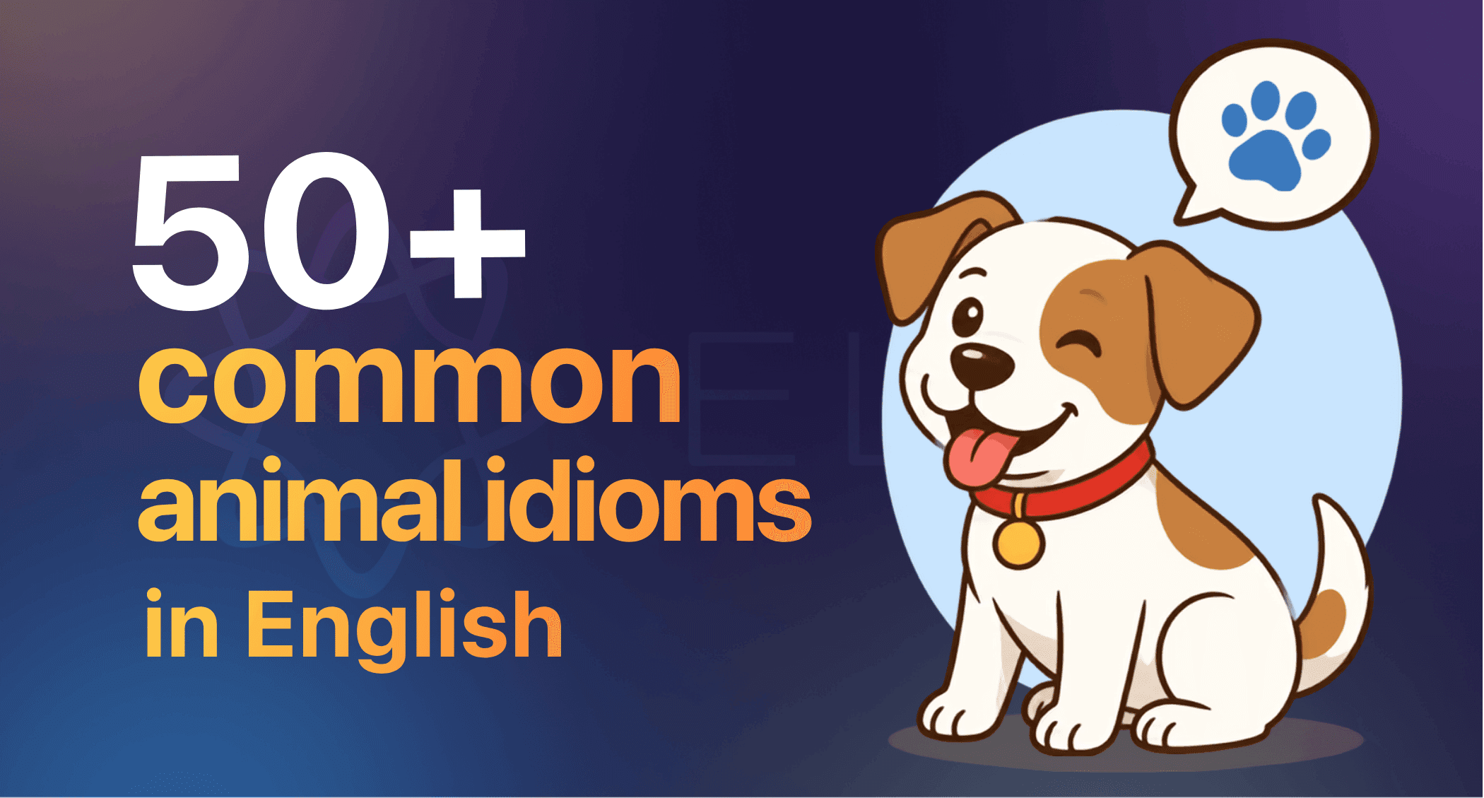 50+ common animal idioms in English with meanings and examples