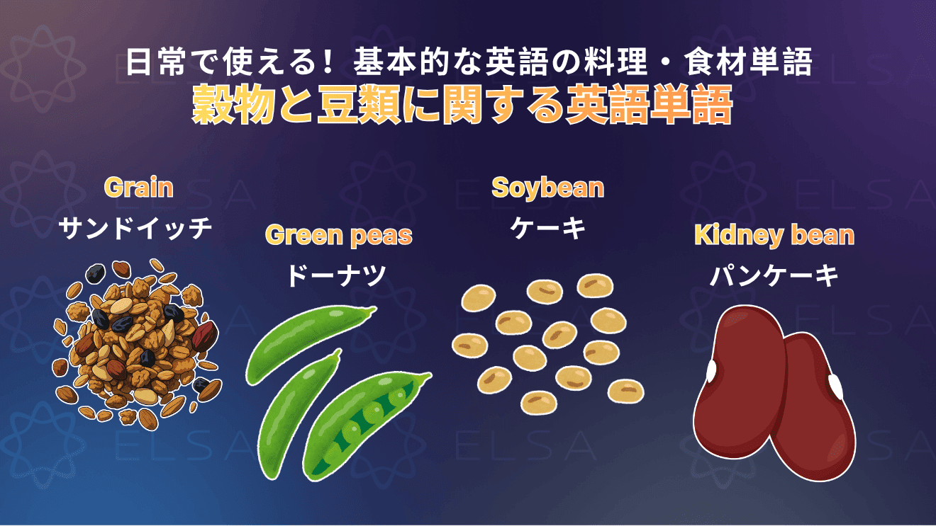 穀物や豆類に関する英単語をまとめた内容